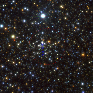 En la imagen se muestra el cúmulo VVVCL086 (Ramírez Alegría et al. 2014) en infrarrojo, en la cual se marca con un círculo rojo la posición del cúmulo y con círculos azules parte de su población de estrellas masivas.