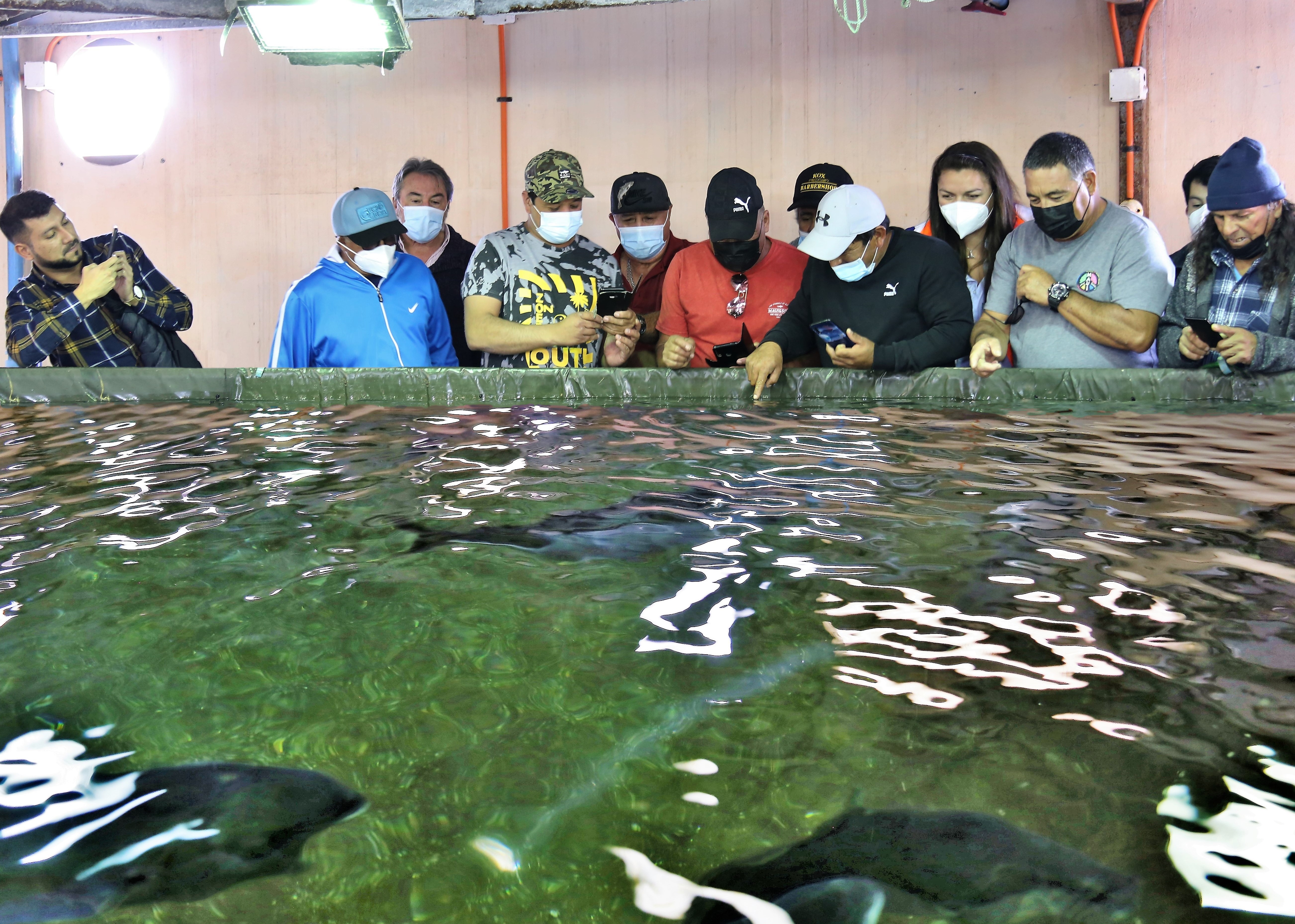 Pescadores artesanales de Tocopilla conocieron investigaciones de la UA